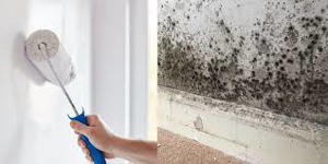 Imagen para la categoría Tratamientos