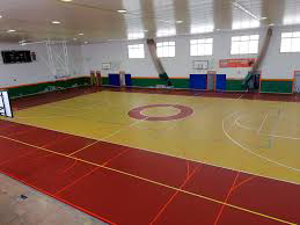 Imagen para la categoría Pistas Deportivas