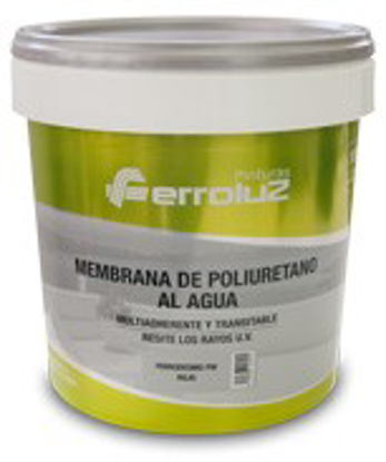 Imagen de FZ FERRODESMO PW 15l