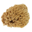 Imagen de ESPONJA NATURAL PENTRILO 9589