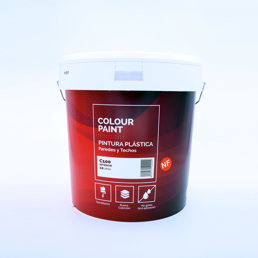 Imagen de PLASTICO MATE COLOUR PAINT C100